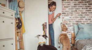 Why Hire a Live-in Pet Sitter?